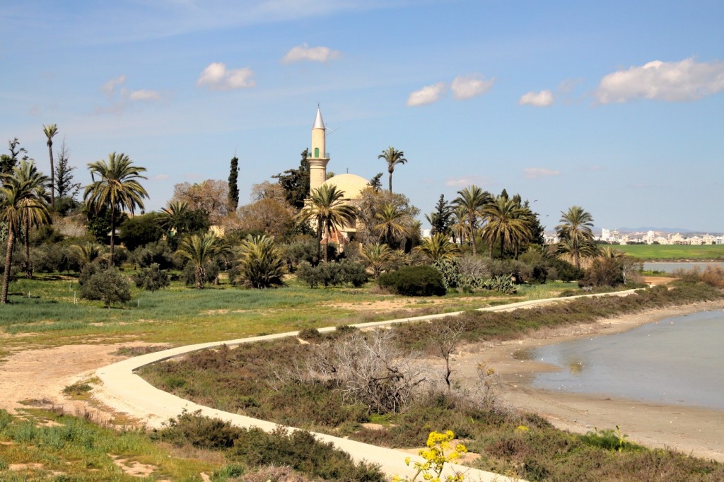 Hala Sultan Tekke Moschee Larnaka Zypern